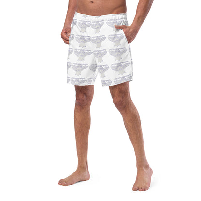 Sogno Etrusco swimming shorts