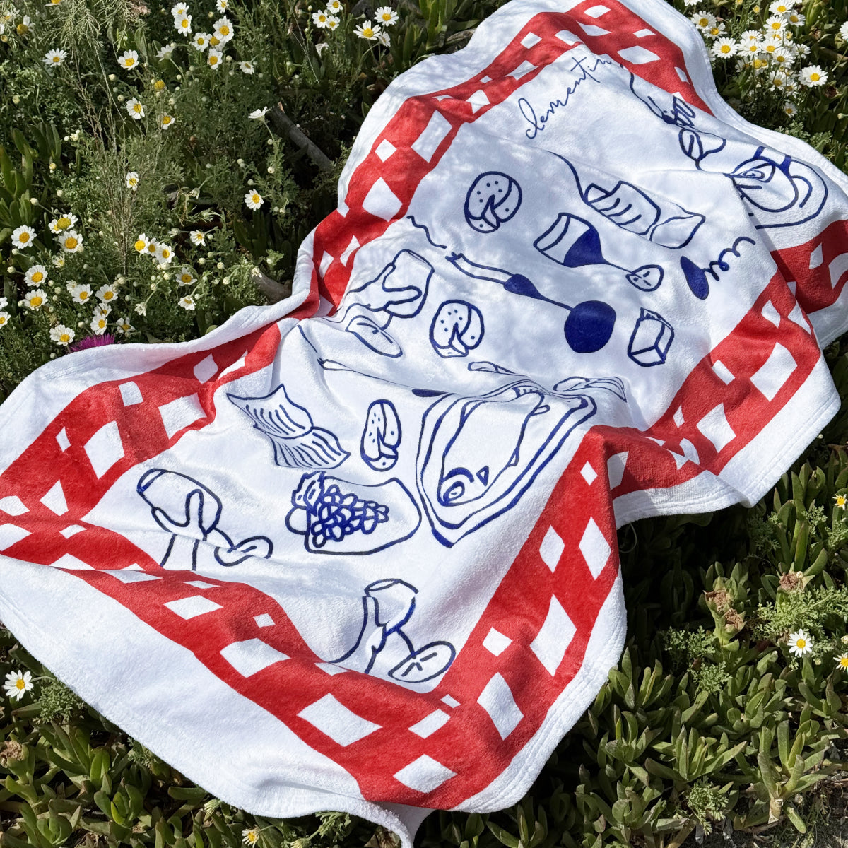 Picnic Beach Blanket / Towel