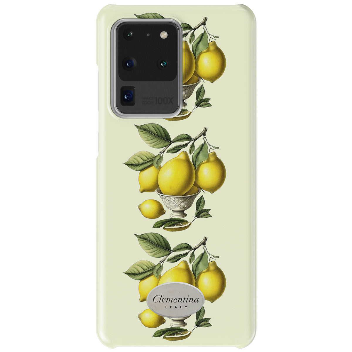 Limoni in Vaso Snap Case