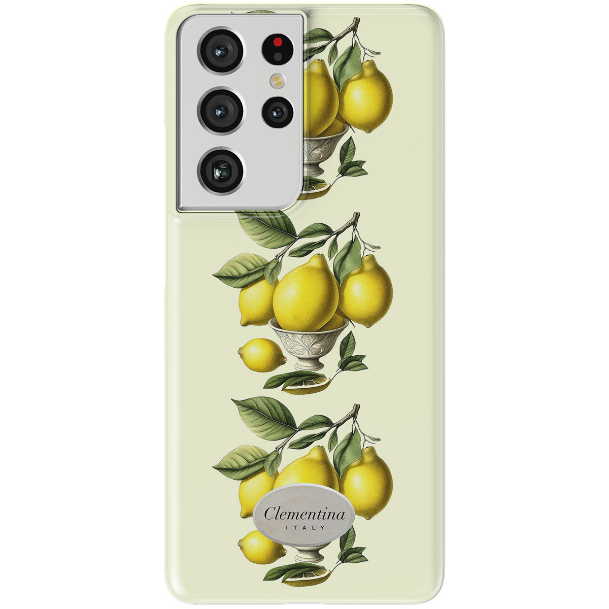 Limoni in Vaso Snap Case