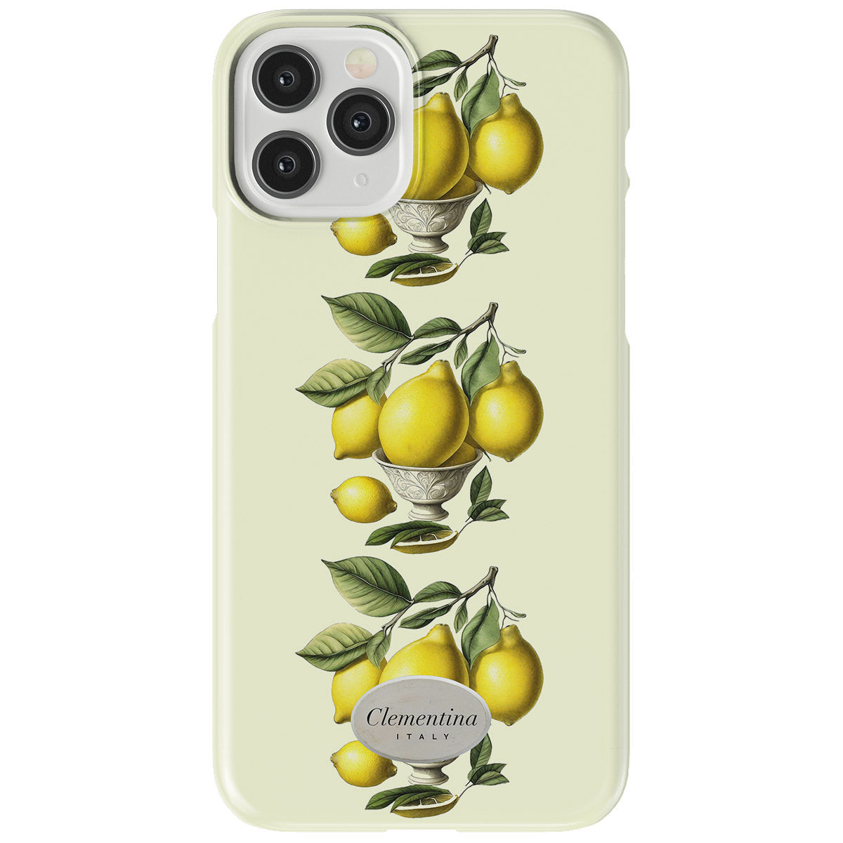 Limoni in Vaso Snap Case