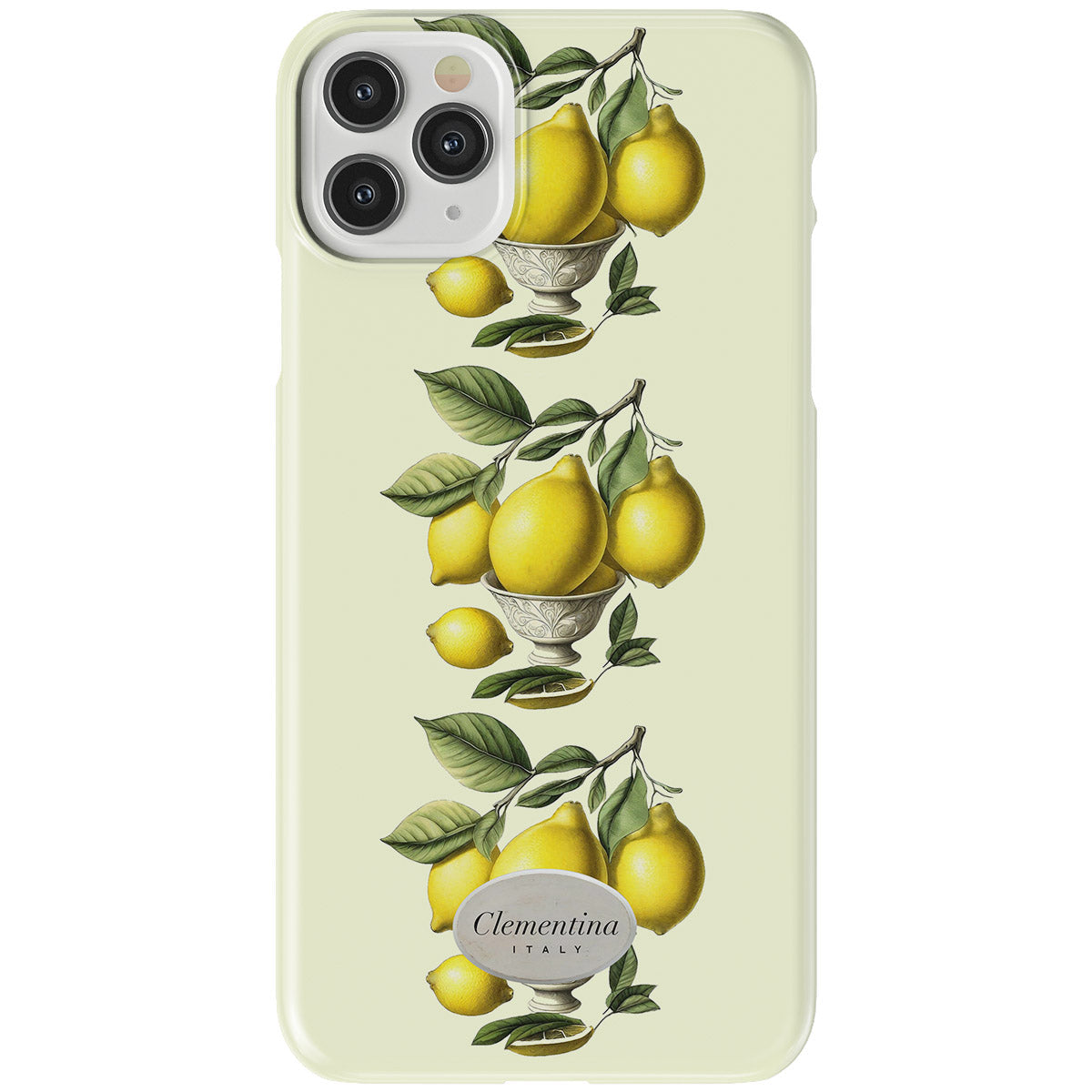 Limoni in Vaso Snap Case