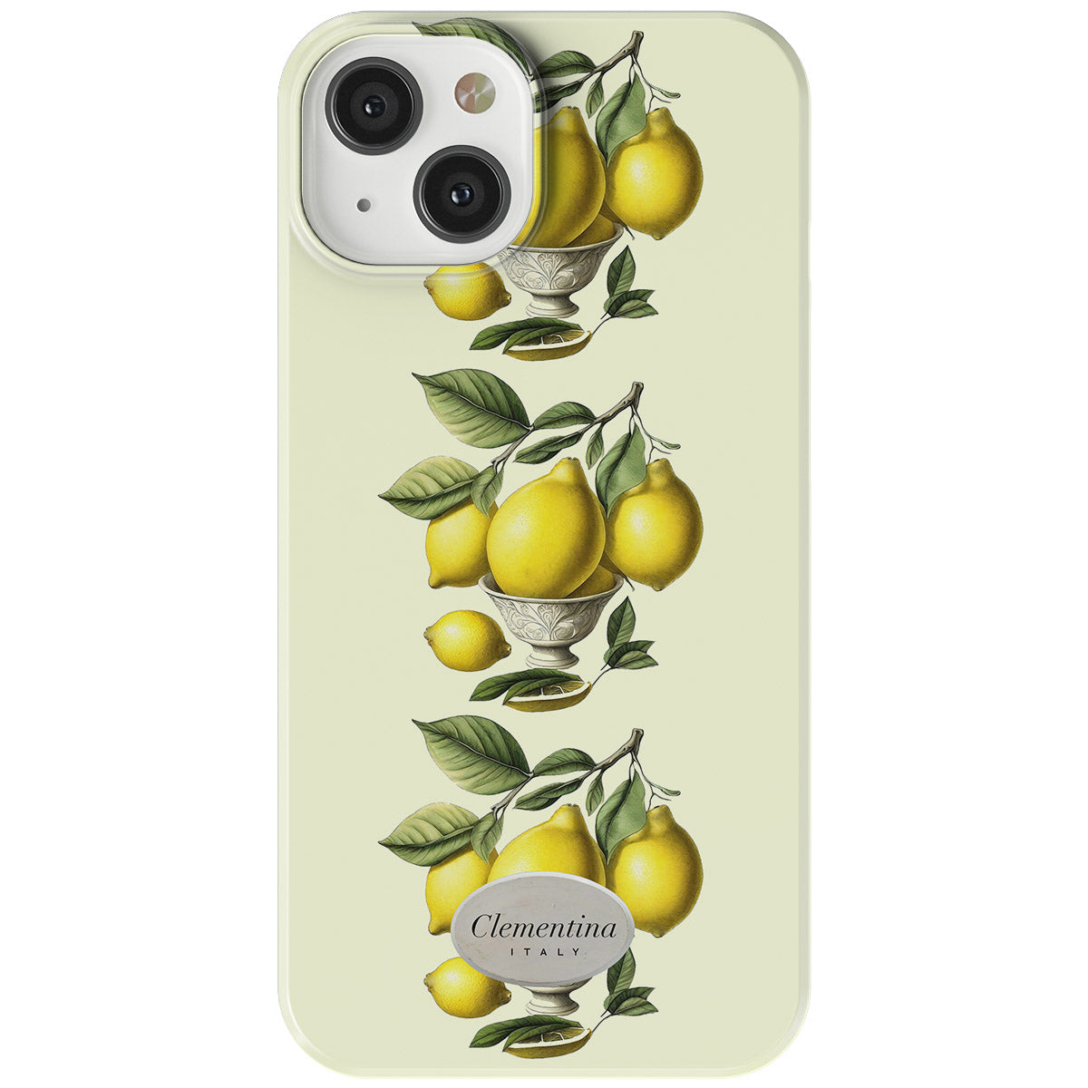 Limoni in Vaso Snap Case