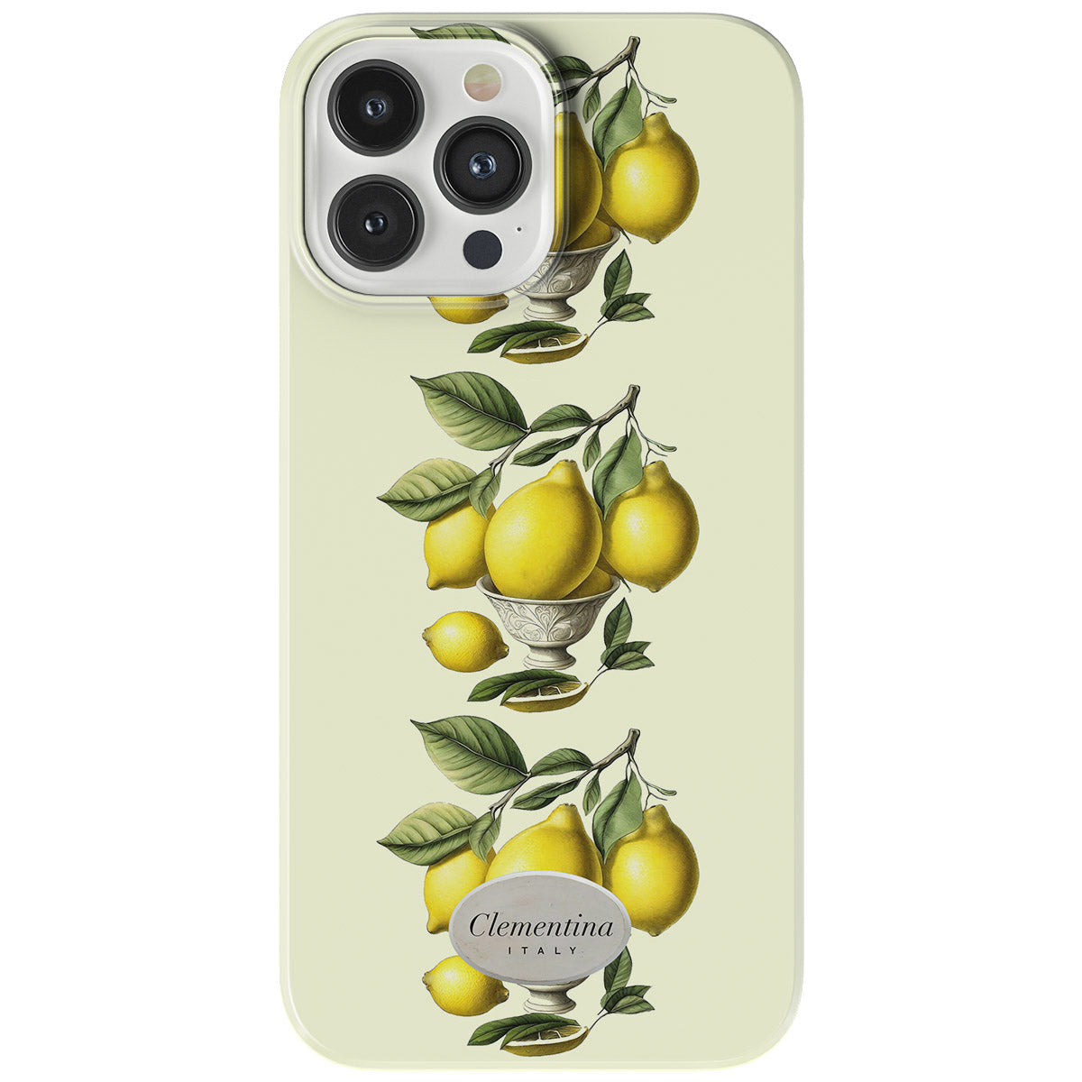 Limoni in Vaso Snap Case