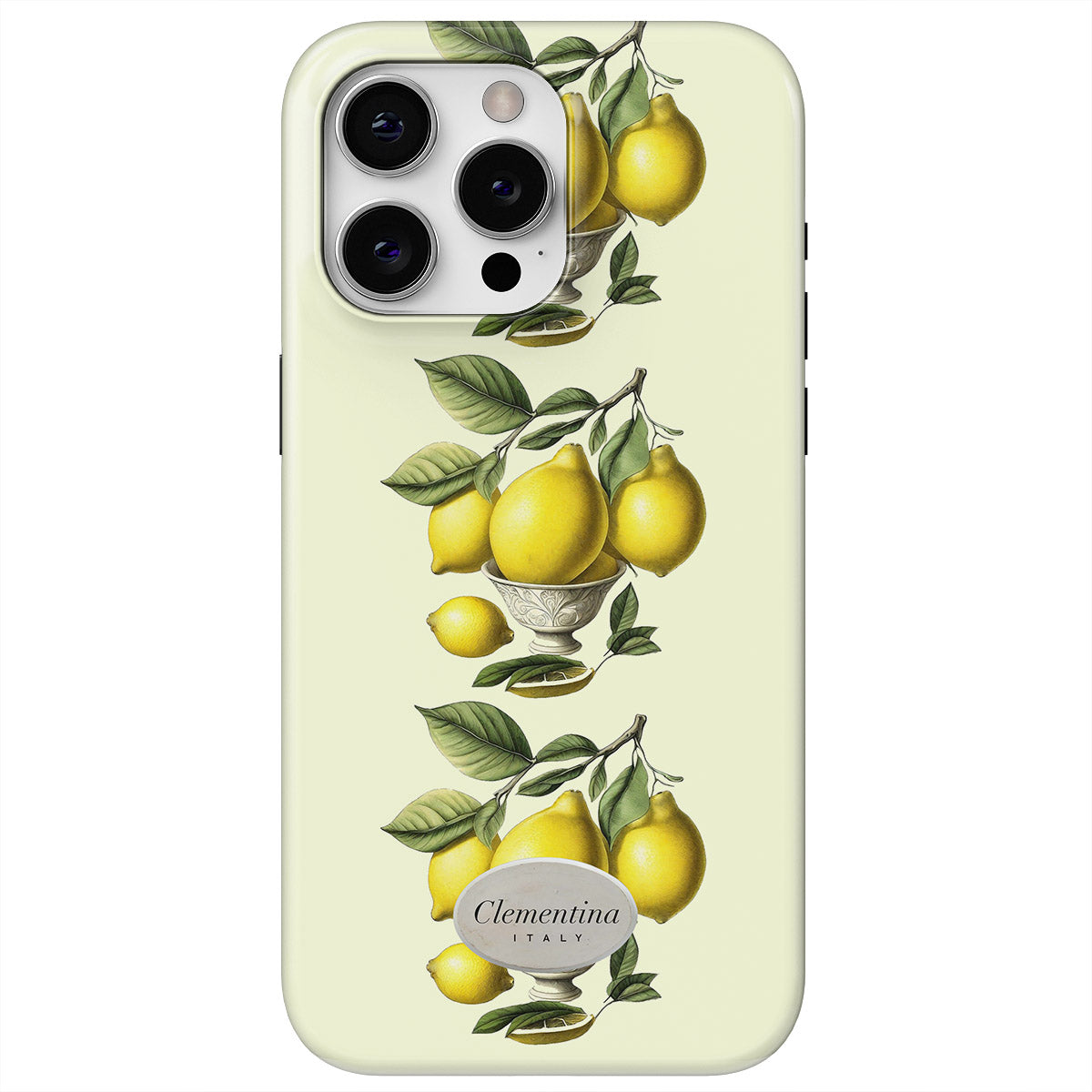 Limoni in Vaso Snap Case