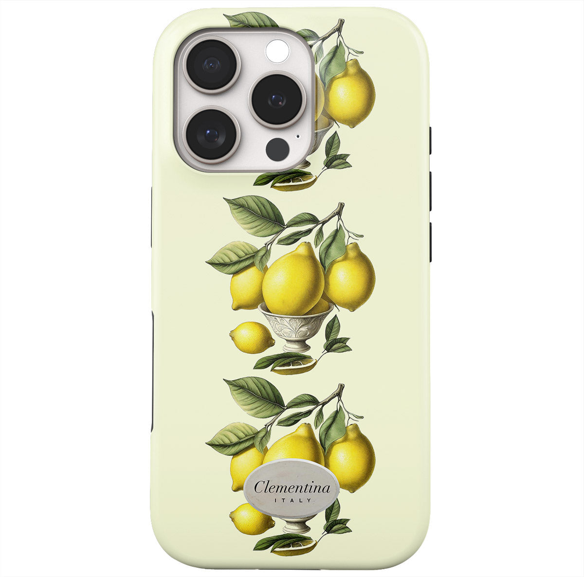 Limoni in Vaso Snap Case