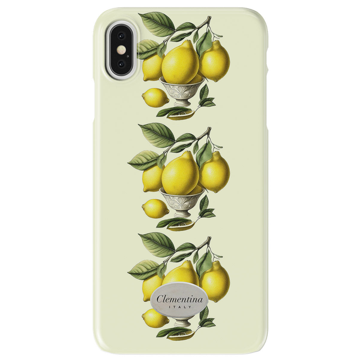 Limoni in Vaso Snap Case